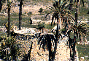 Noria del Tiro